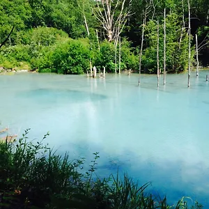 托马民宿 旅馆 中富良野町